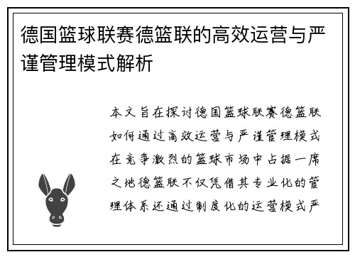 德国篮球联赛德篮联的高效运营与严谨管理模式解析